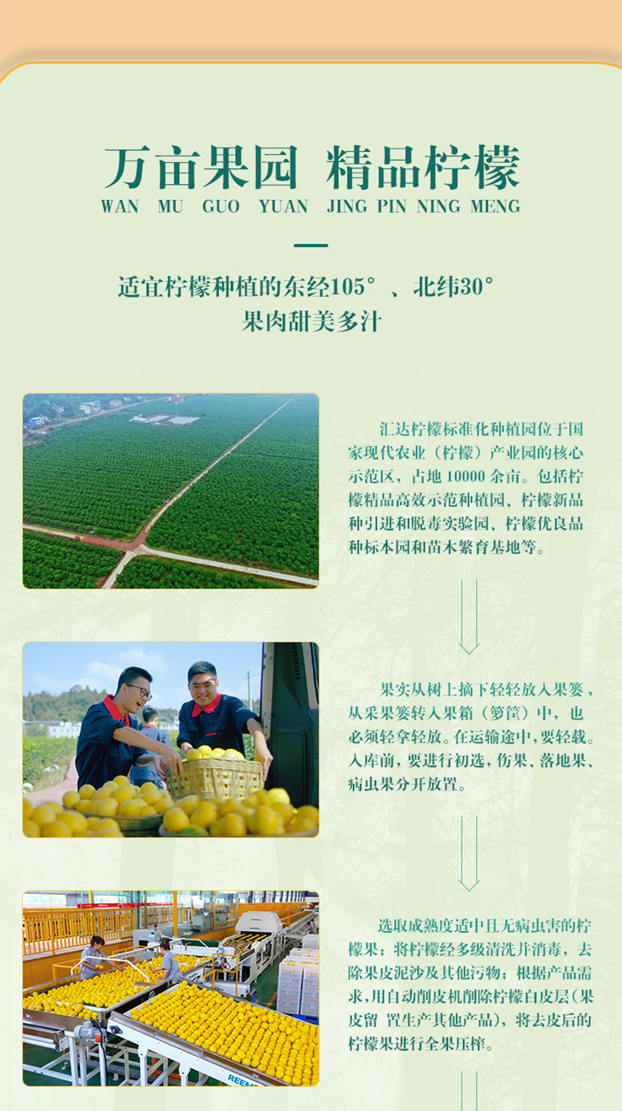 500ml柠檬料酒_08.jpg