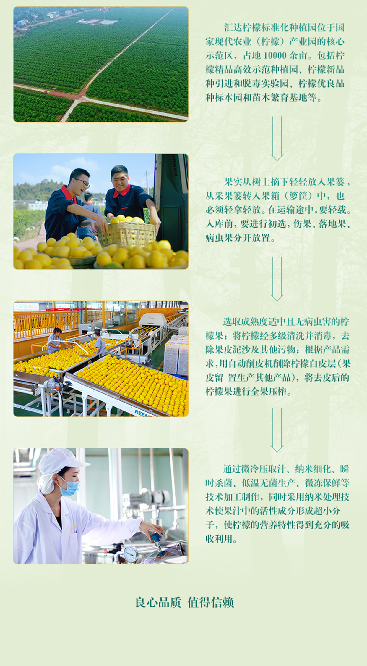 500ml柠檬醋汁_09.jpg